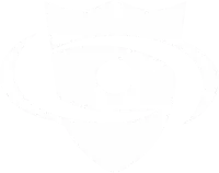 Shelleyes logo